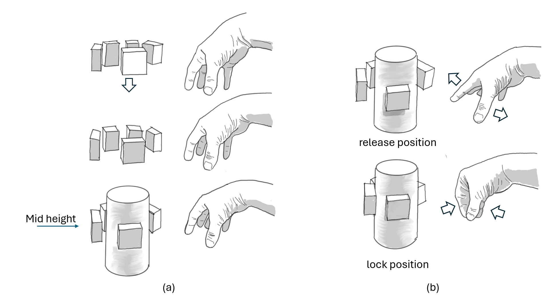 Hand Map Diagram